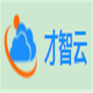 西安才智云网络科技有限公司