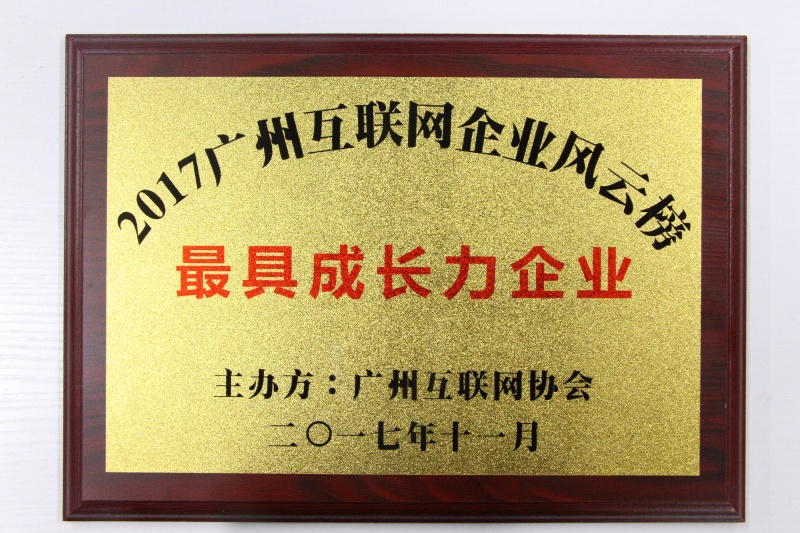 ***成长力企业