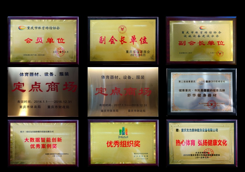 荣誉资质