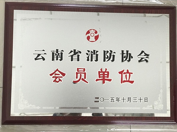 云南消防协会