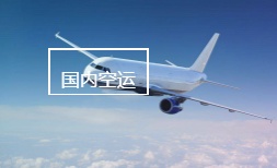国内空运