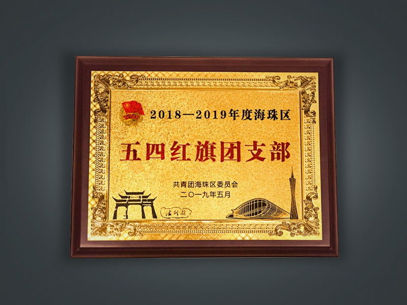 海珠区五四红旗团支部