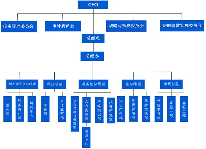 公司组织架构