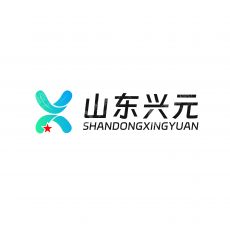 兴元（山东）信息科技有限公司