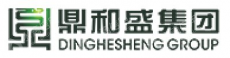 深圳市鼎和盛集团有限公司