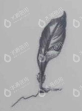北京金哈达文化传媒有限公司