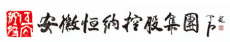 安徽恒纳控股集团有限责任公司