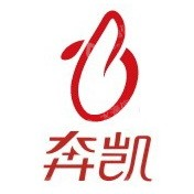 深圳市奔凯信息服务集团股份有限公司