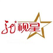 黑龙江龙视星传媒股份有限公司