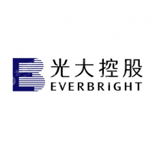 成都光控西部创业投资有限公司