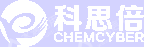 南京科思倍信息科技有限公司