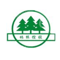 林栋控股股份有限公司