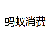 重庆蚂蚁消费金融有限公司