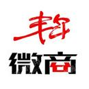 北京丰年微商网络技术服务有限公司