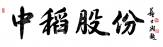 中稻集团股份有限公司