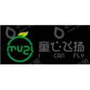 深圳市童心飞扬投资控股集团有限公司