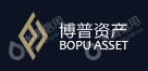 深圳博普科技有限公司
