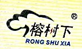 浪科电力科技有限公司