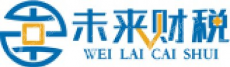 广州未来财税咨询有限公司