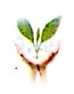广西华盛集团茅桥工贸有限责任公司