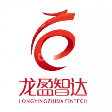 龙盈智达（北京）科技有限公司