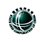 国网电动汽车服务（陕西）有限公司