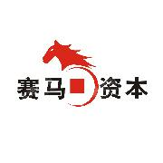 深圳市赛金登峰投资基金企业(有限合伙)