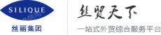 广东省丝丽国际集团股份有限公司