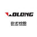 上海卧龙融资租赁有限公司