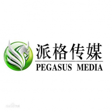 北京派格泛在文化传媒有限公司