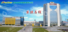 帝斯曼芬美意果胶（烟台）股份有限公司