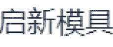 广东启新精密铸造股份有限公司