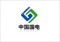 国能（山东）燃料有限公司