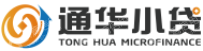 上海嘉定通华小额贷款有限公司