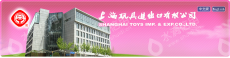 上海玩具进出口有限公司