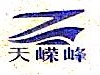 宁波天嵘峰电子科技有限公司