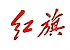 石家庄庞大华旗汽车销售有限公司