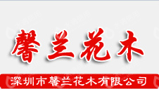 深圳市馨兰花木有限公司