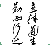 景宁立勤香榧产业园有限公司