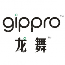 深圳龙舞科技创新有限公司