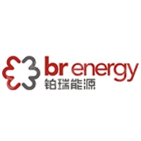 铂瑞能源（万载）有限公司
