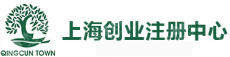 上海市奉贤区青村镇人民政府