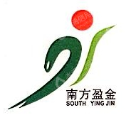 深圳市南方盈金投资有限公司