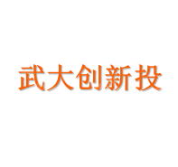 武汉武大创新投资有限公司