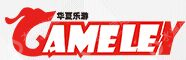 北京华夏乐游科技股份有限公司