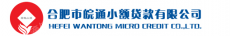 合肥市皖通小额贷款有限公司