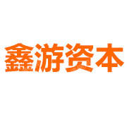 上海鑫游投资管理有限公司