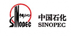 岳阳兴岳国际旅行社有限责任公司