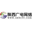 陕西广电网络传媒(集团)股份有限公司略阳县支公司