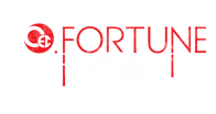 中经丰利（北京）资本管理有限公司